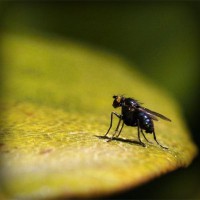 /album/csko/photolia-a07-jpg/